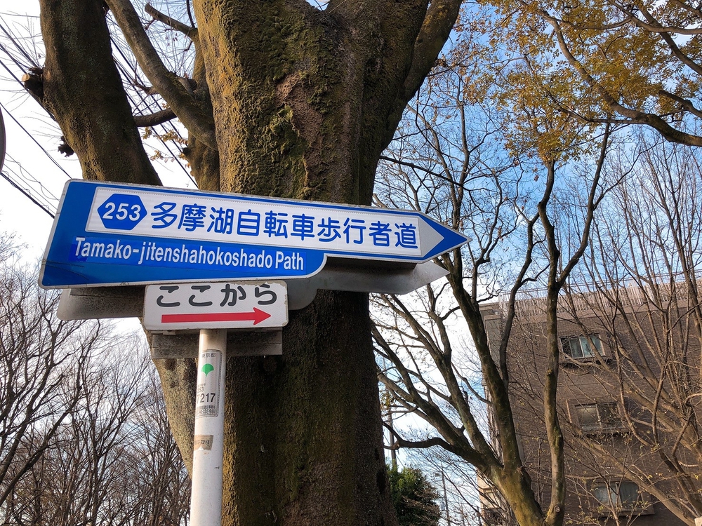 吉祥寺～東京で一番長い直線道路～多摩湖1周ロング走  の写真7