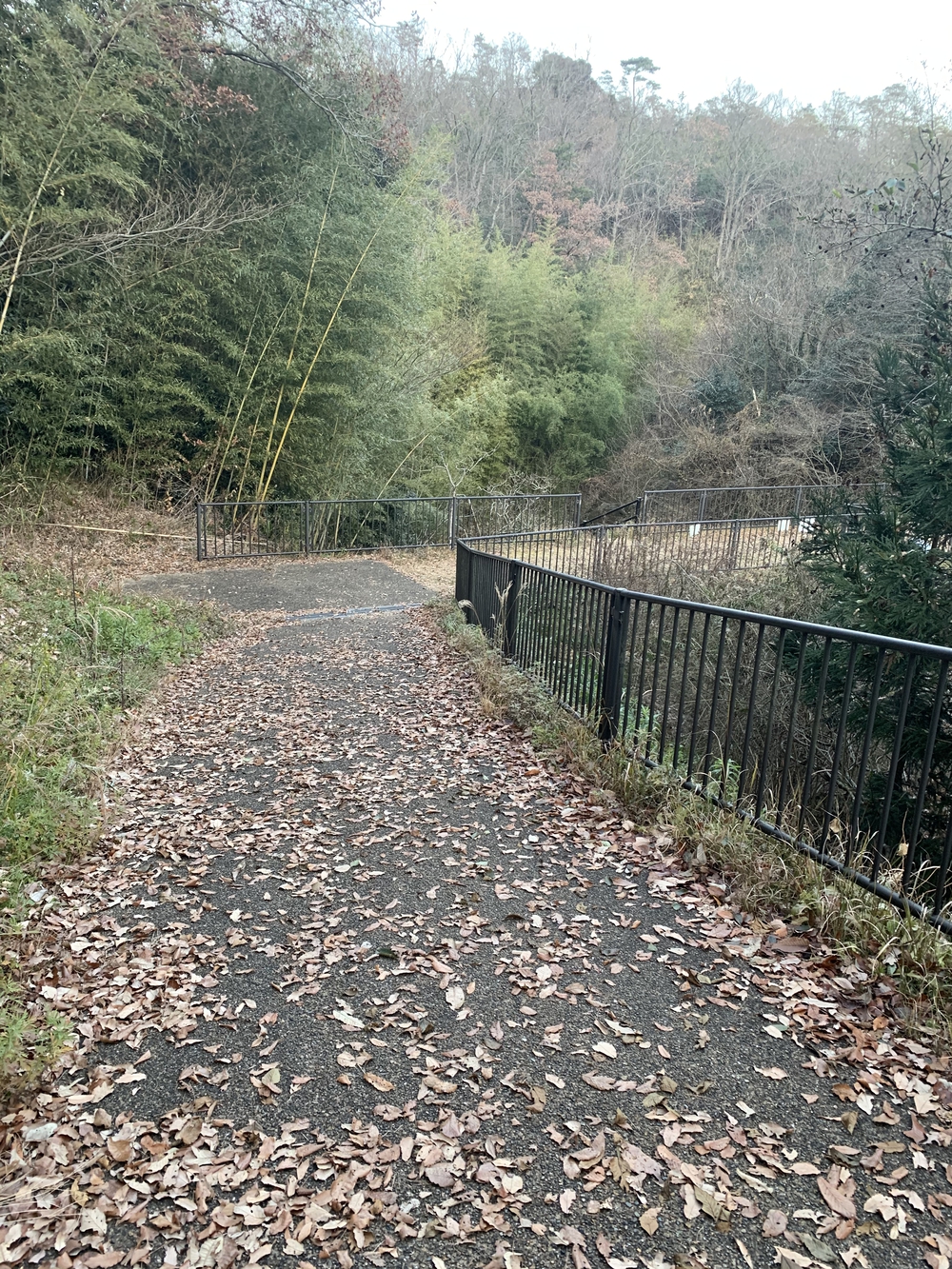 程良い距離をカスタマイズ　兵庫県立三木総合防災公園の写真3