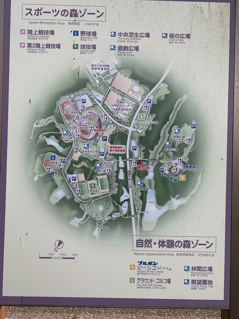 程良い距離をカスタマイズ　兵庫県立三木総合防災公園の写真5