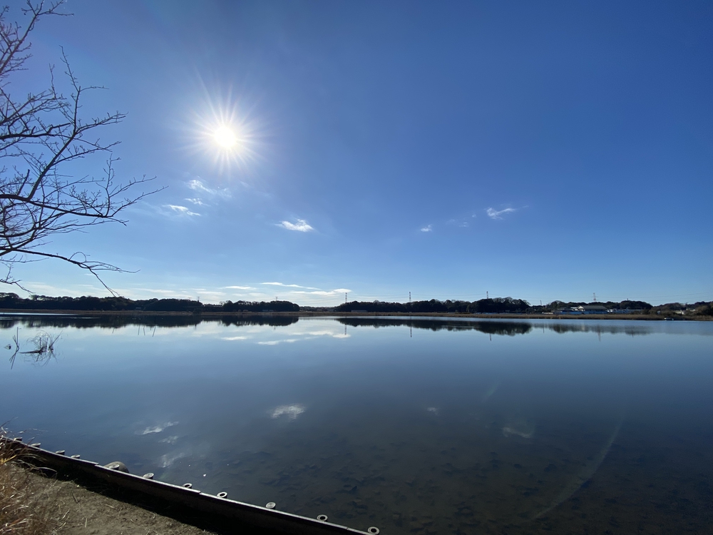 べた凪鏡のような手賀沼一周の写真6