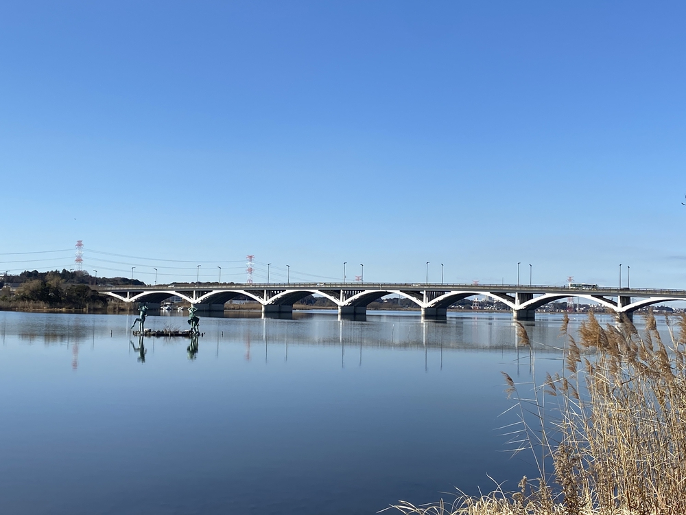 べた凪鏡のような手賀沼一周の写真7