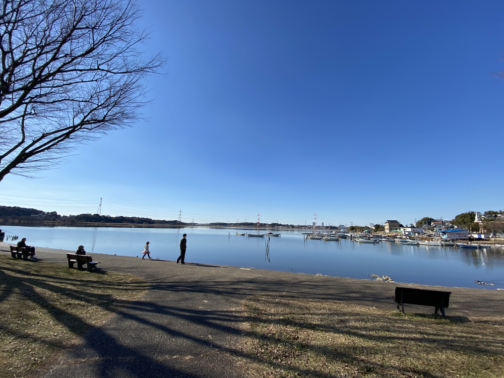 べた凪鏡のような手賀沼一周の写真8