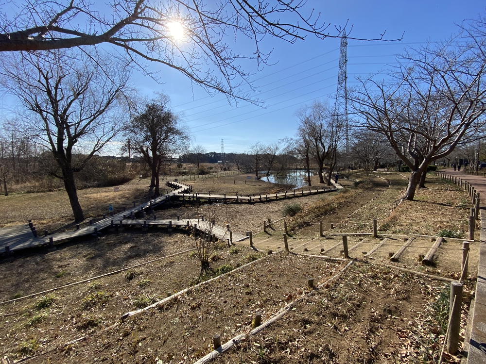 べた凪鏡のような手賀沼一周の写真9