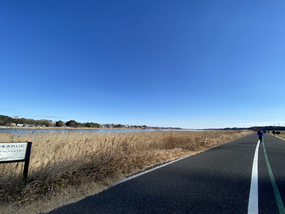 べた凪鏡のような手賀沼一周の写真11