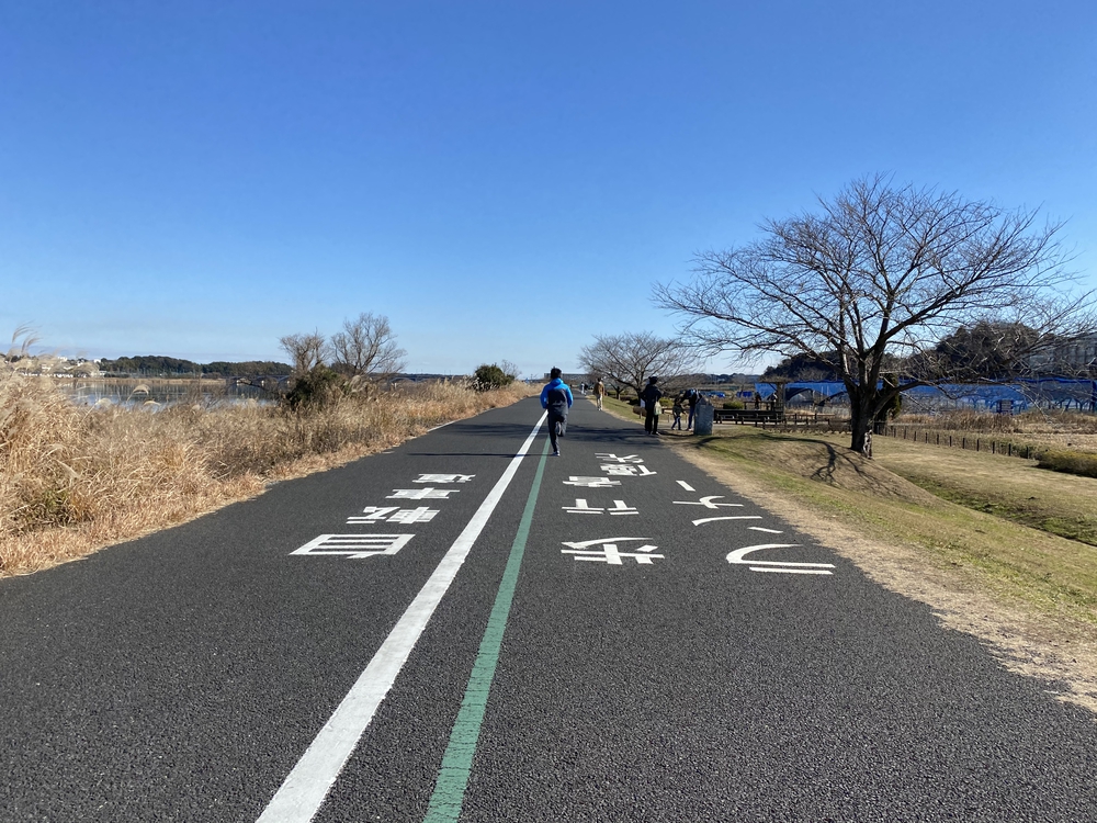 べた凪鏡のような手賀沼一周の写真12