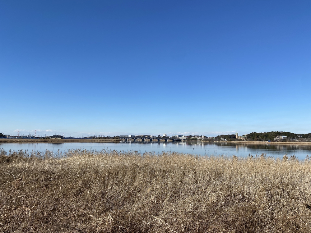 べた凪鏡のような手賀沼一周の写真13