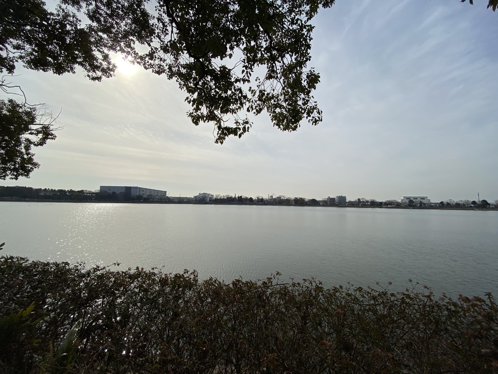 久喜菖蒲公園ジョギングコースの写真4