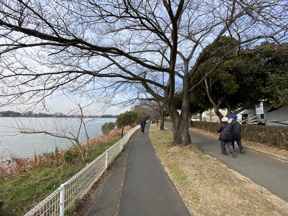 久喜菖蒲公園ジョギングコースの写真5