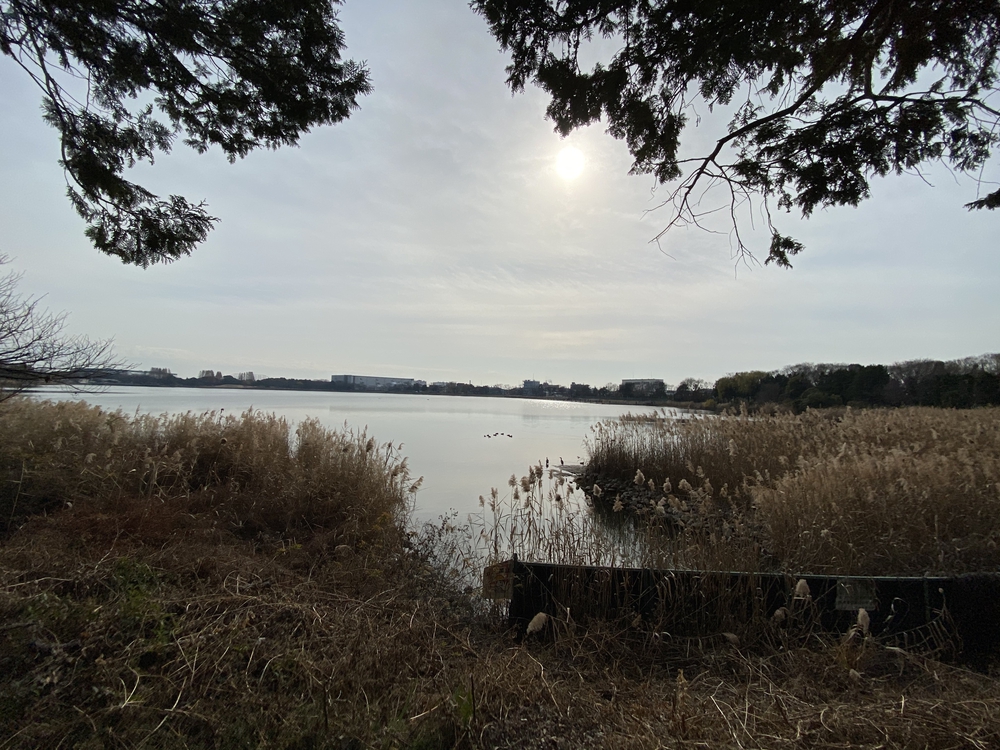 久喜菖蒲公園ジョギングコースの写真6