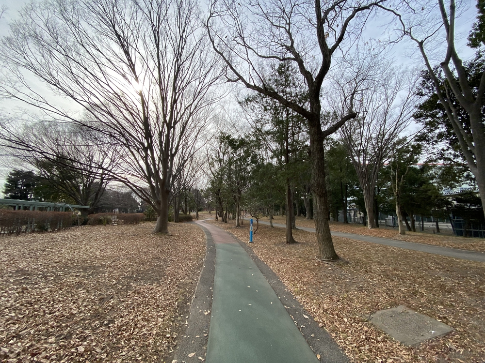 久喜菖蒲公園ジョギングコースの写真8