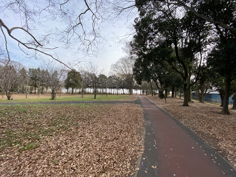 久喜菖蒲公園ジョギングコースの写真9