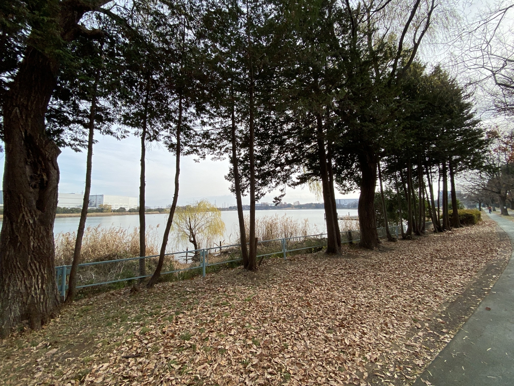 久喜菖蒲公園ジョギングコースの写真10