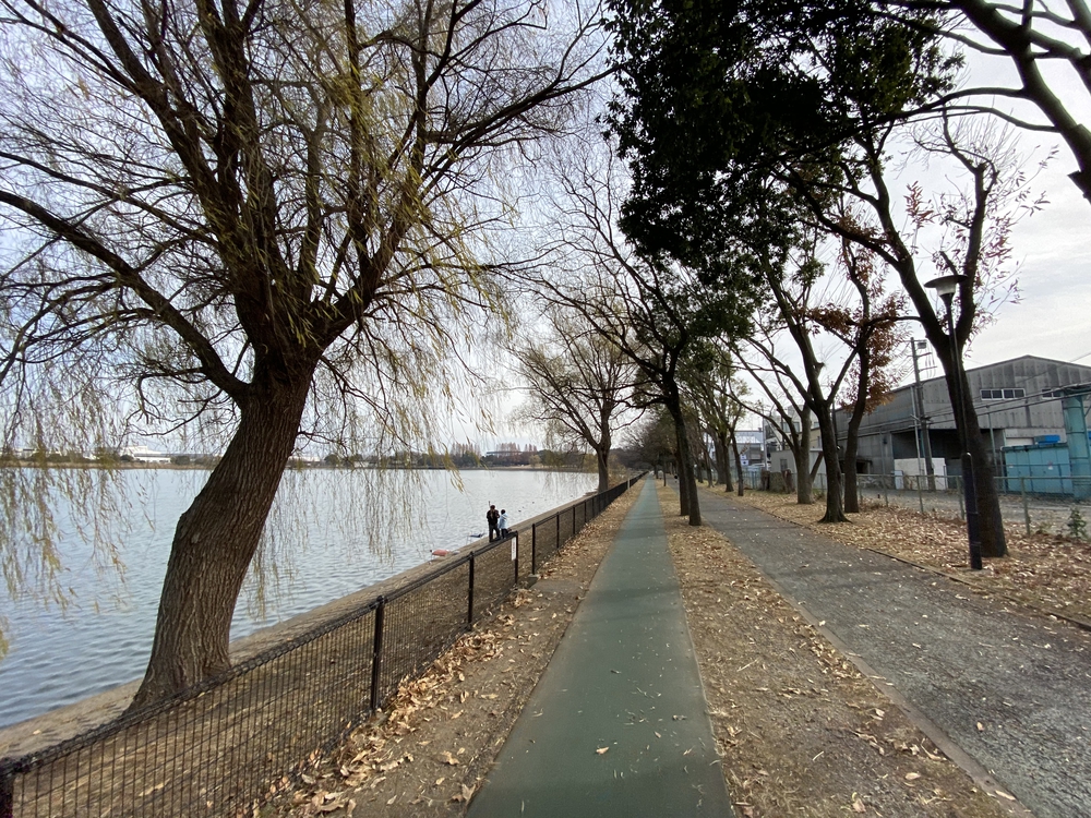 久喜菖蒲公園ジョギングコースの写真11