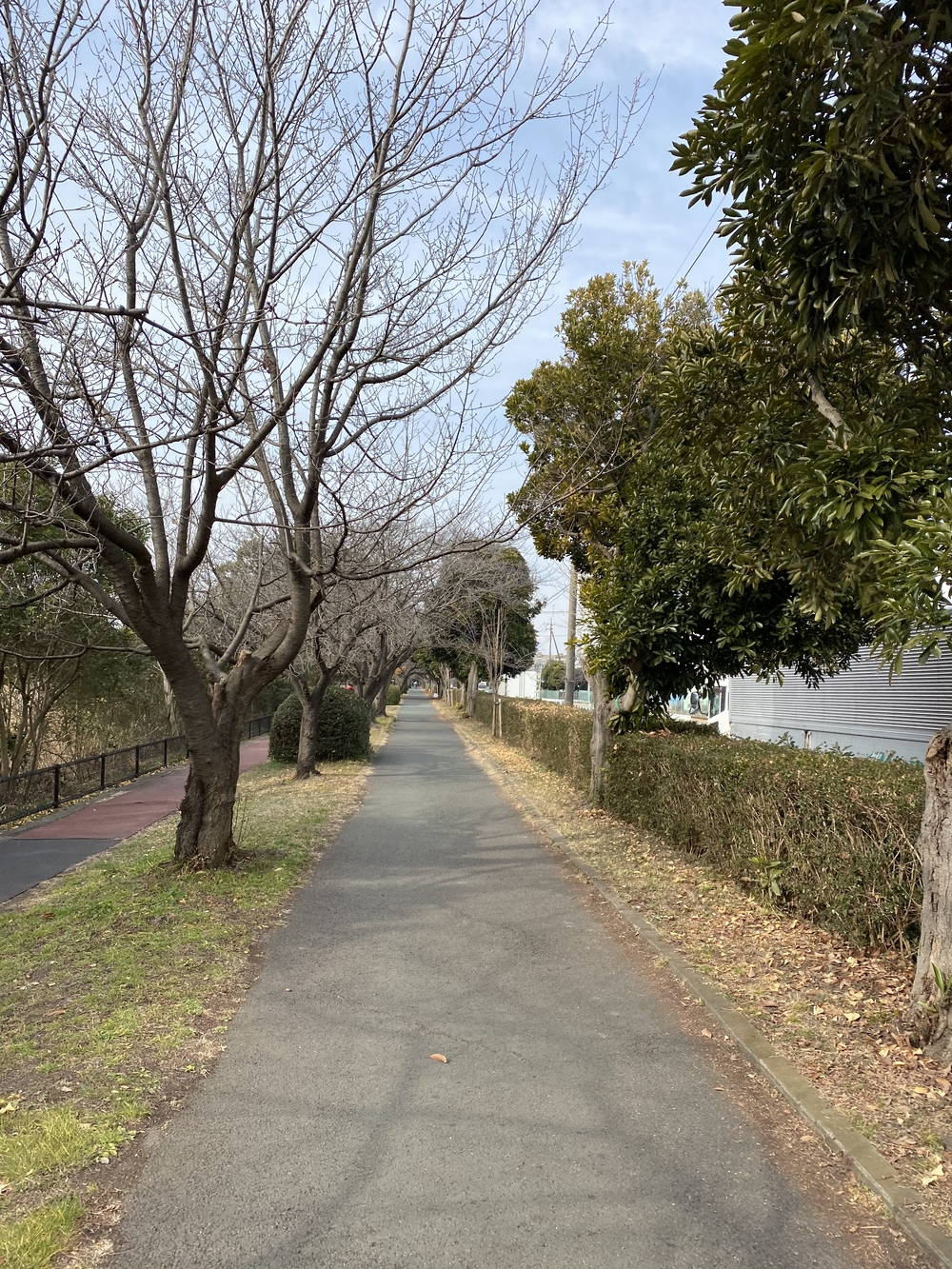 久喜菖蒲公園ジョギングコースの写真14