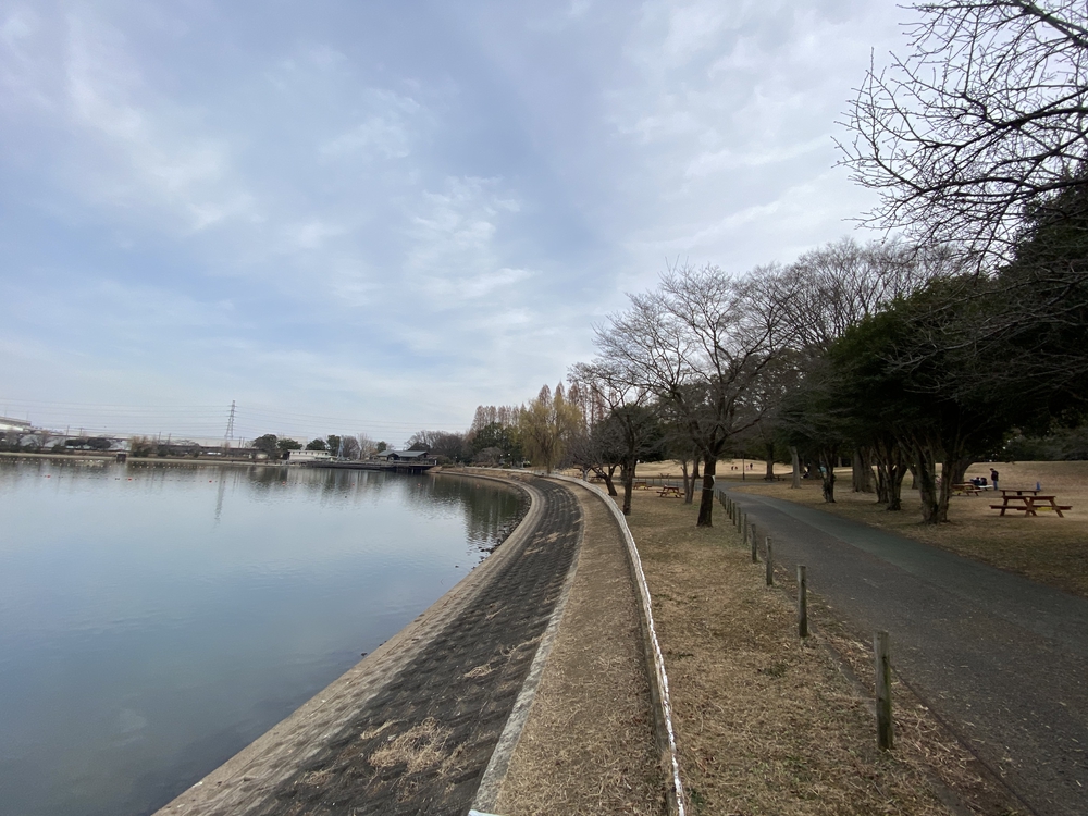 久喜菖蒲公園ジョギングコースの写真16