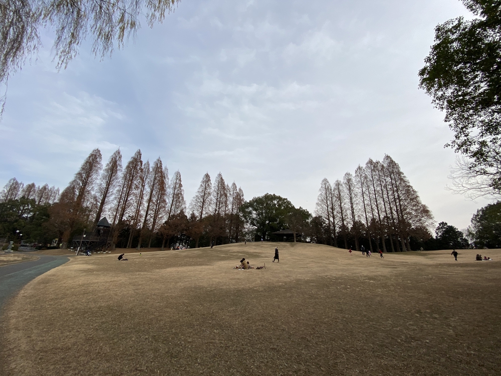 久喜菖蒲公園ジョギングコースの写真17