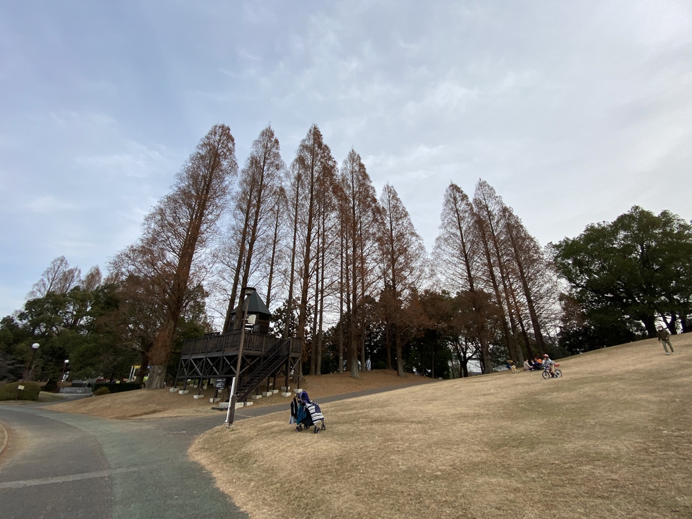 久喜菖蒲公園ジョギングコースの写真18