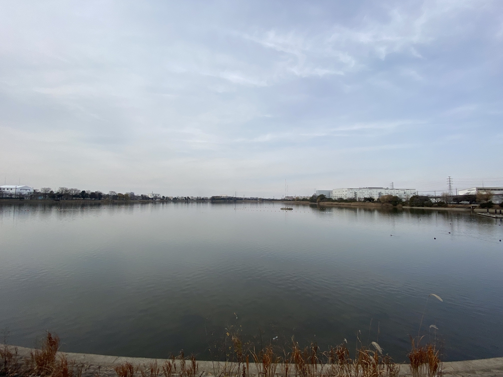 久喜菖蒲公園ジョギングコースの写真19