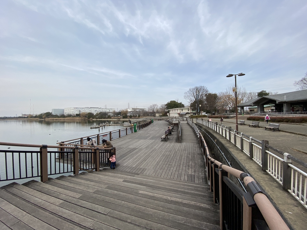 久喜菖蒲公園ジョギングコースの写真21