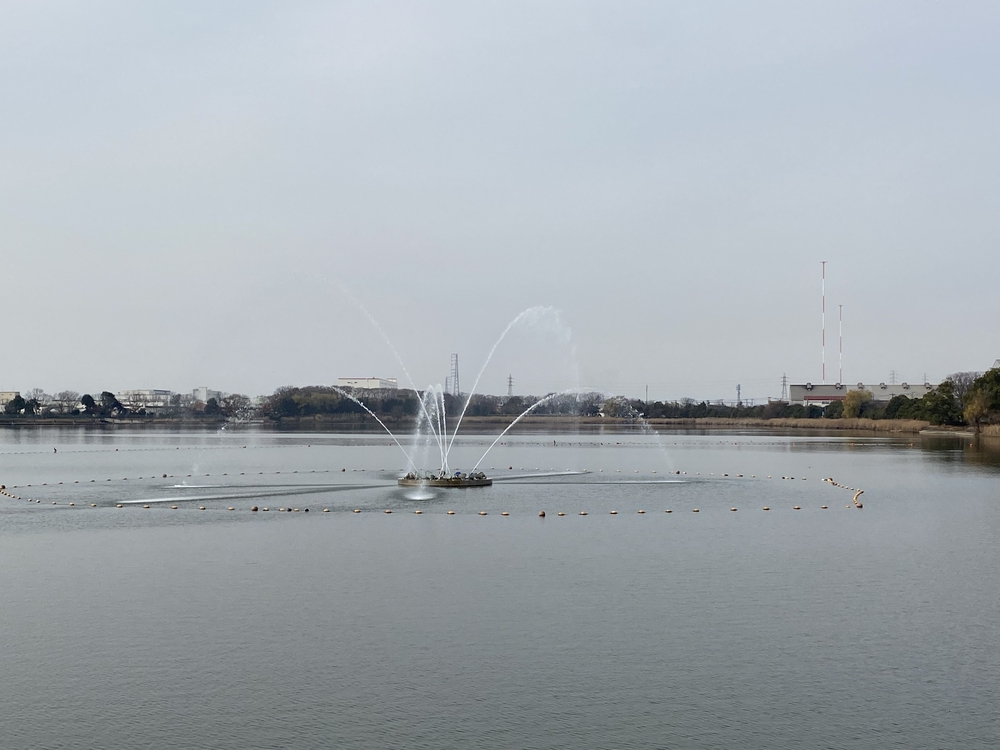 久喜菖蒲公園ジョギングコースの写真22
