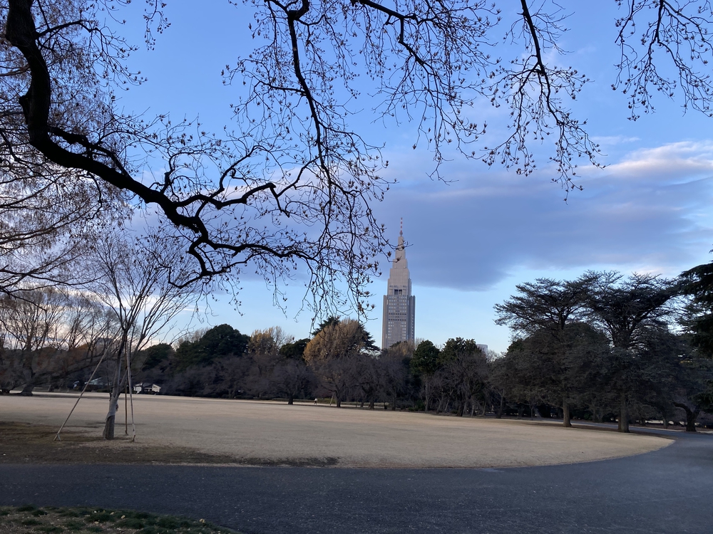 冬の新宿御苑早朝ランの写真7