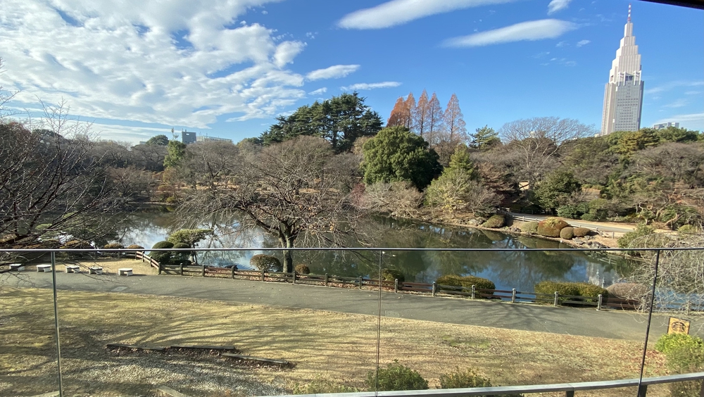 冬の新宿御苑早朝ランの写真8