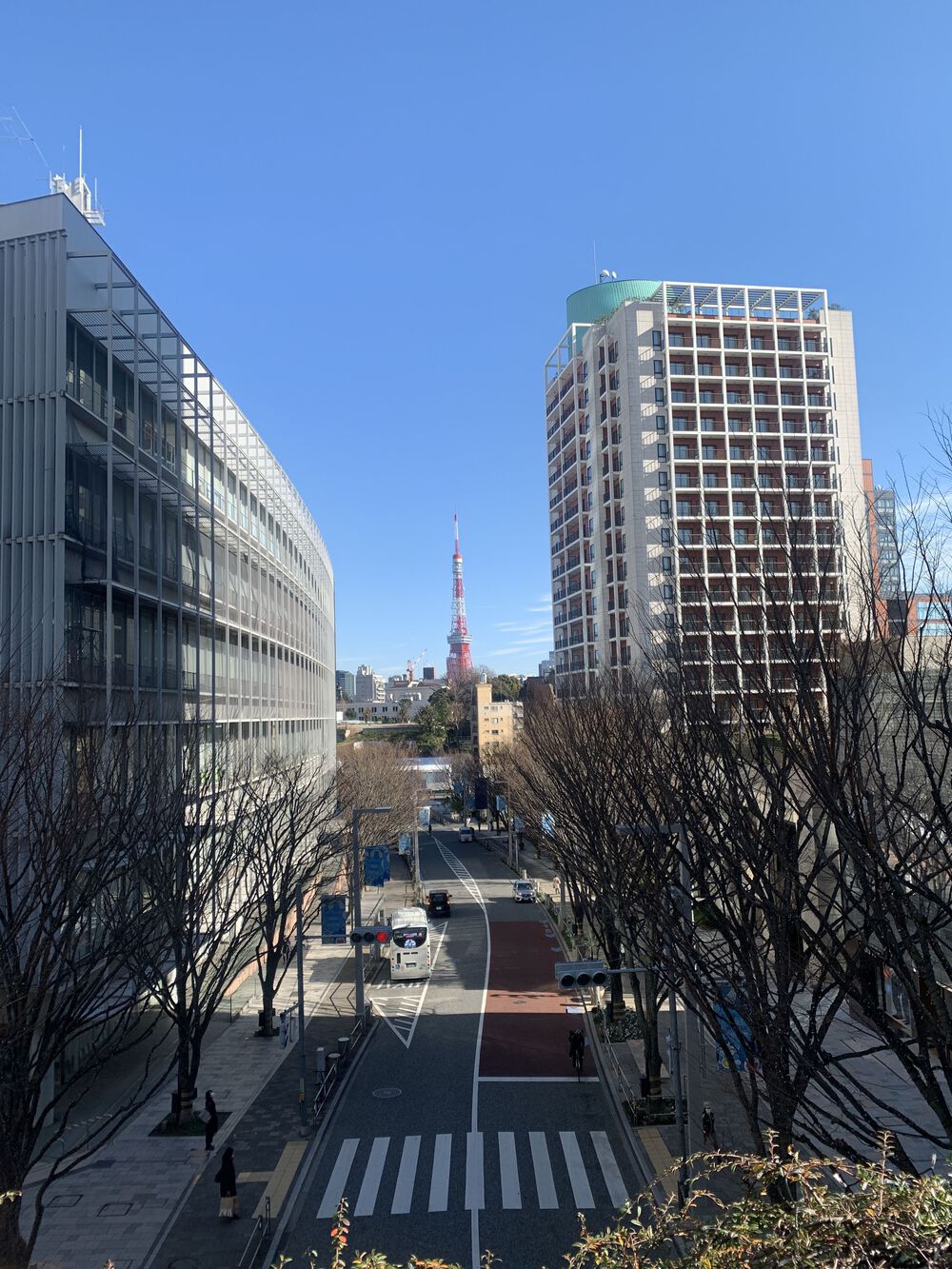 歌川広重と共にRUN 霞ヶ関の写真3