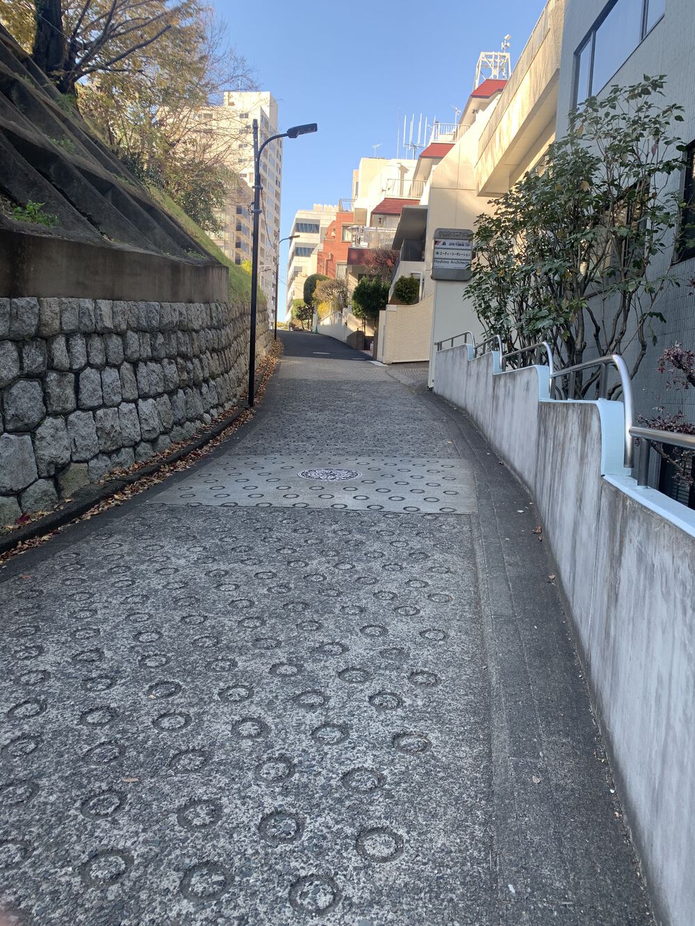 歌川広重と共にRUN 霞ヶ関の写真8