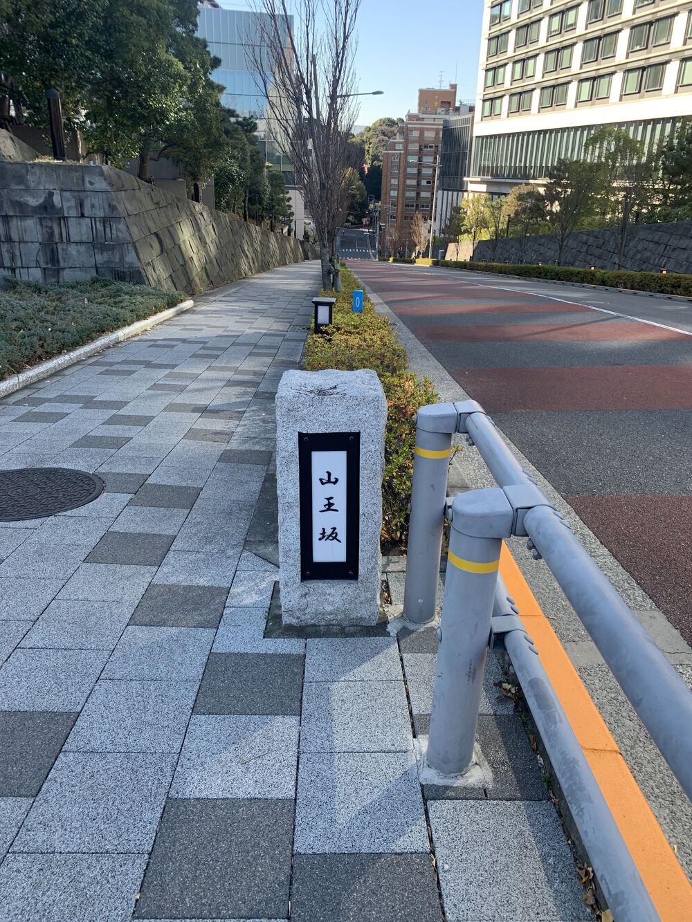 歌川広重と共にRUN 霞ヶ関の写真9