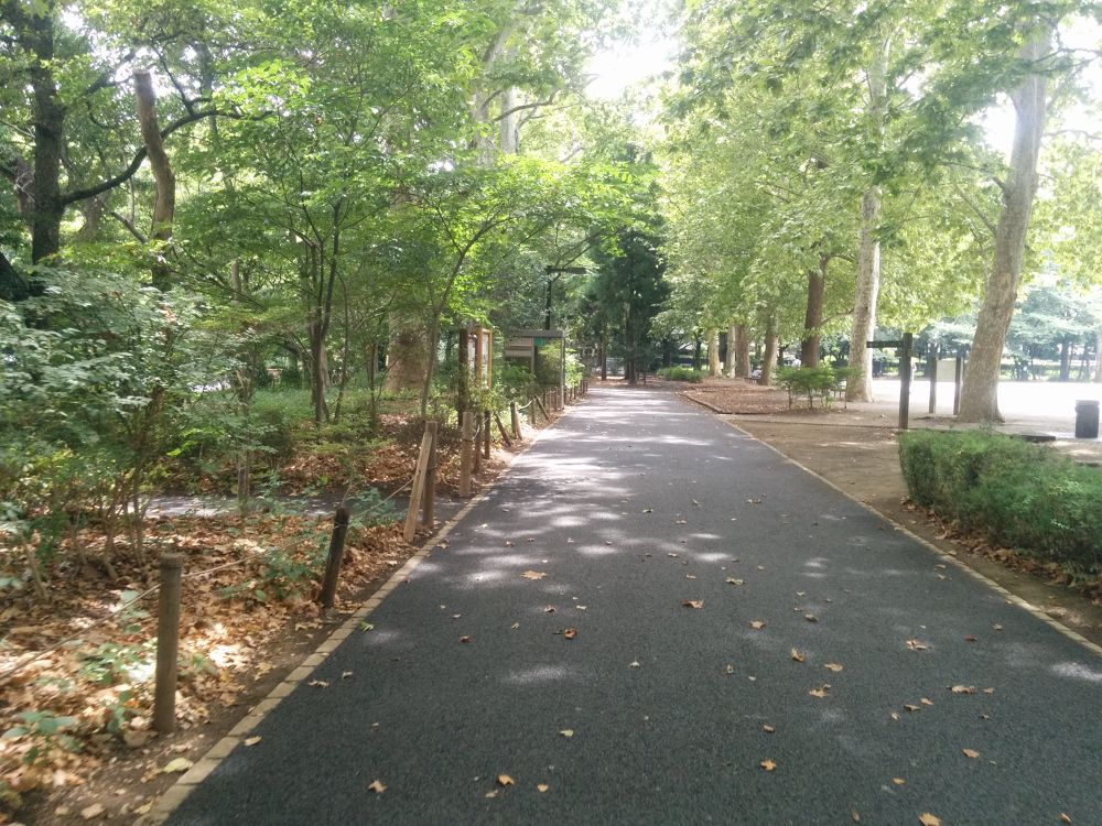 古くからの緑地！林試の森公園の写真3