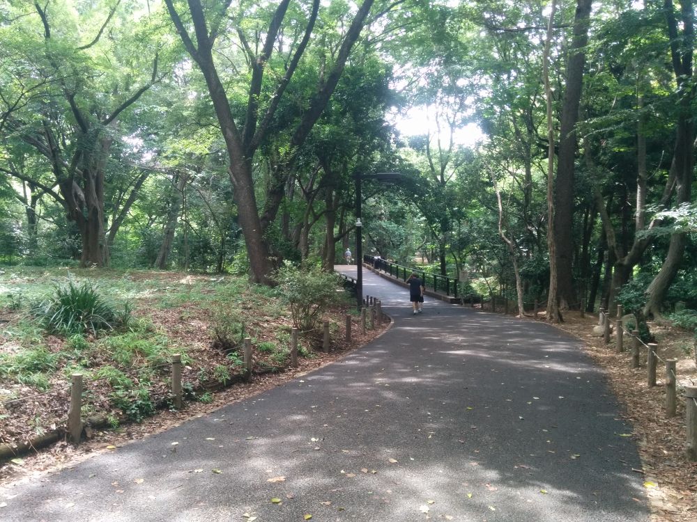 古くからの緑地！林試の森公園の写真4