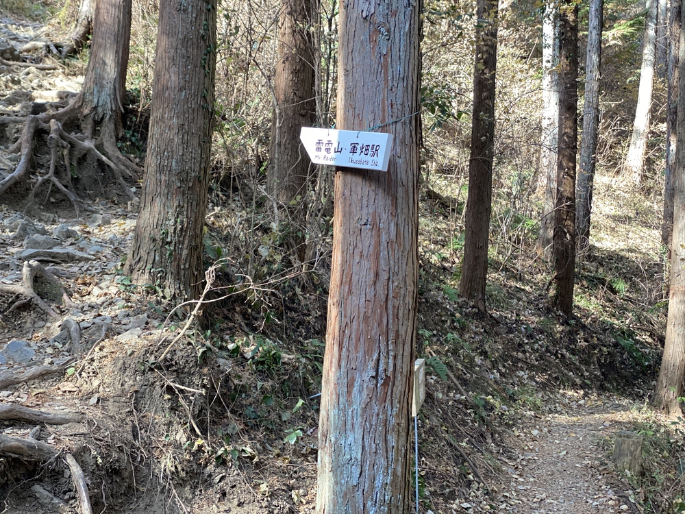 青梅駅〜軍畑駅 10kmトレイルの写真3