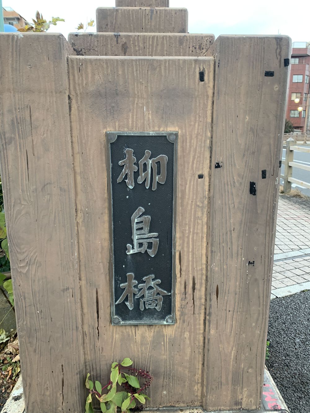 歌川広重と共にRUN 柳しまの写真3