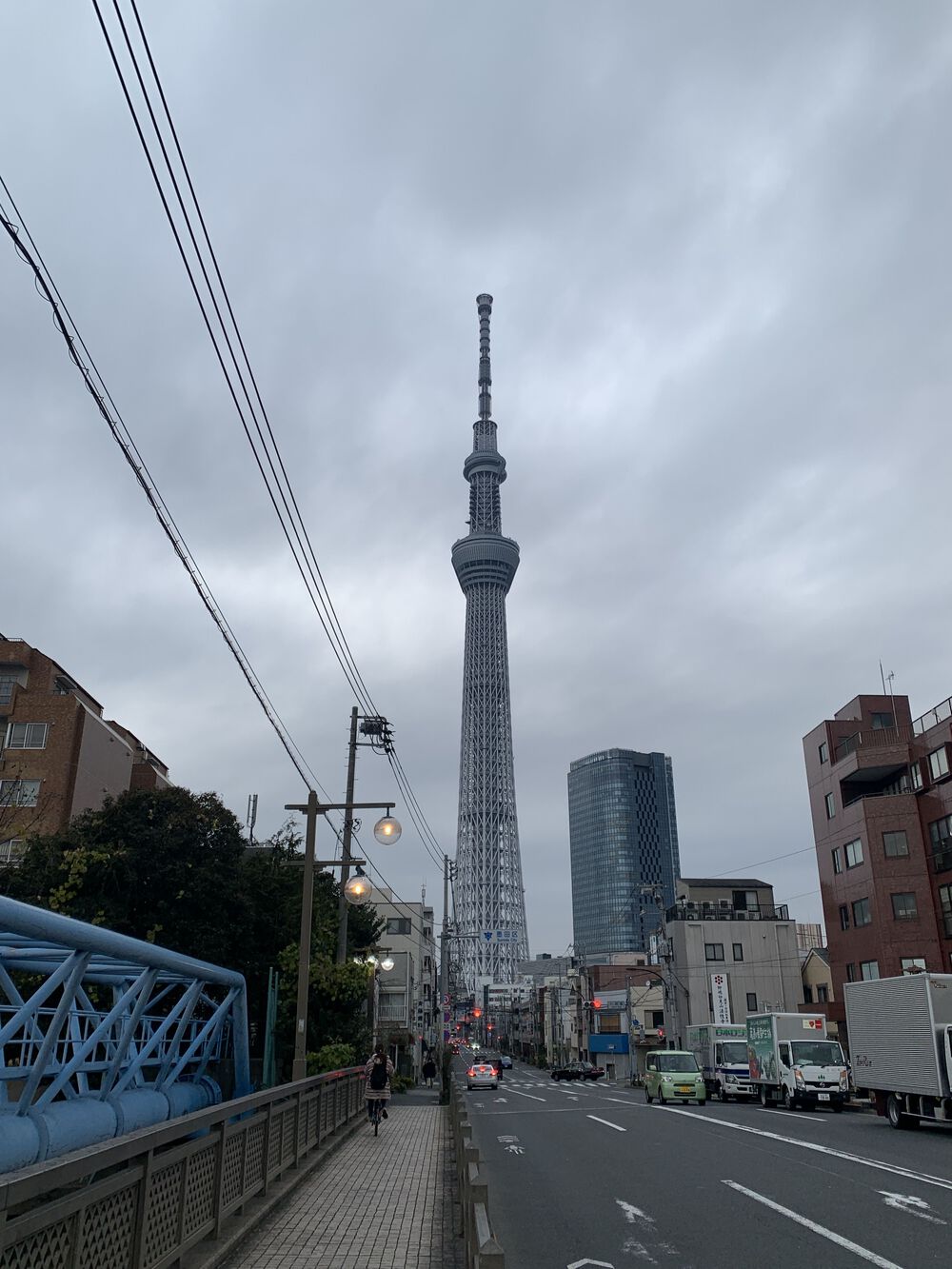 歌川広重と共にRUN 柳しまの写真7