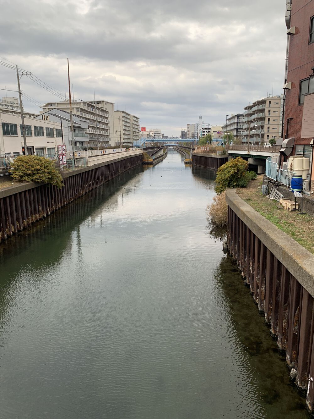 歌川広重と共にRUN 柳しまの写真8