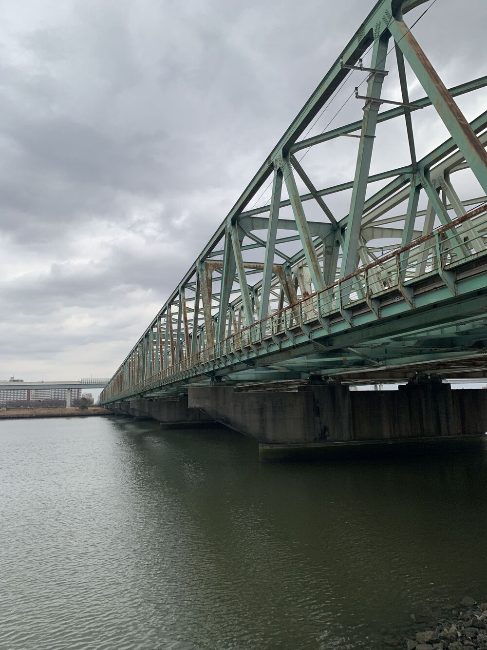 歌川広重と共にRUN 柳しまの写真9