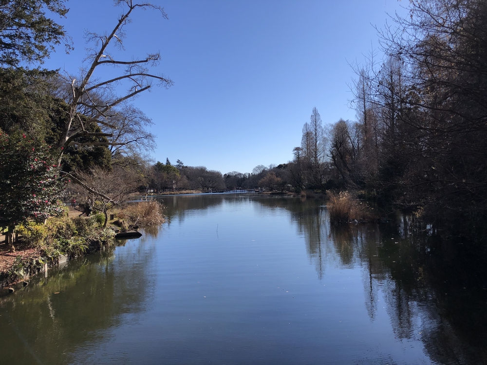 武蔵野七福神巡り&丑年お絵かきランの写真4