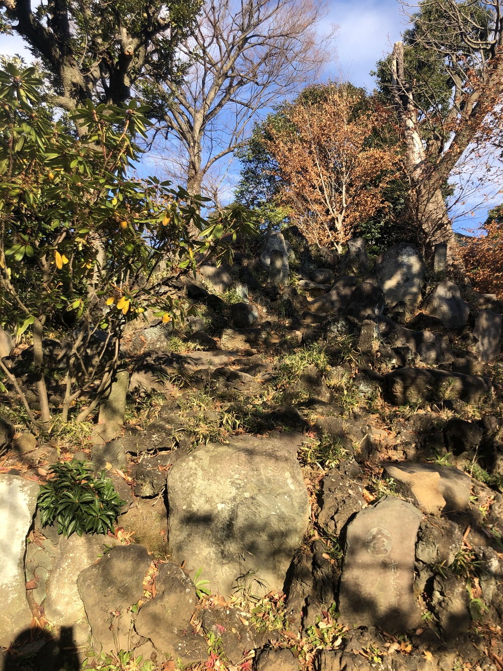 ★お絵描きラン（22）富士山🗻【北板橋豊島新宿文京台東荒川区】の写真5