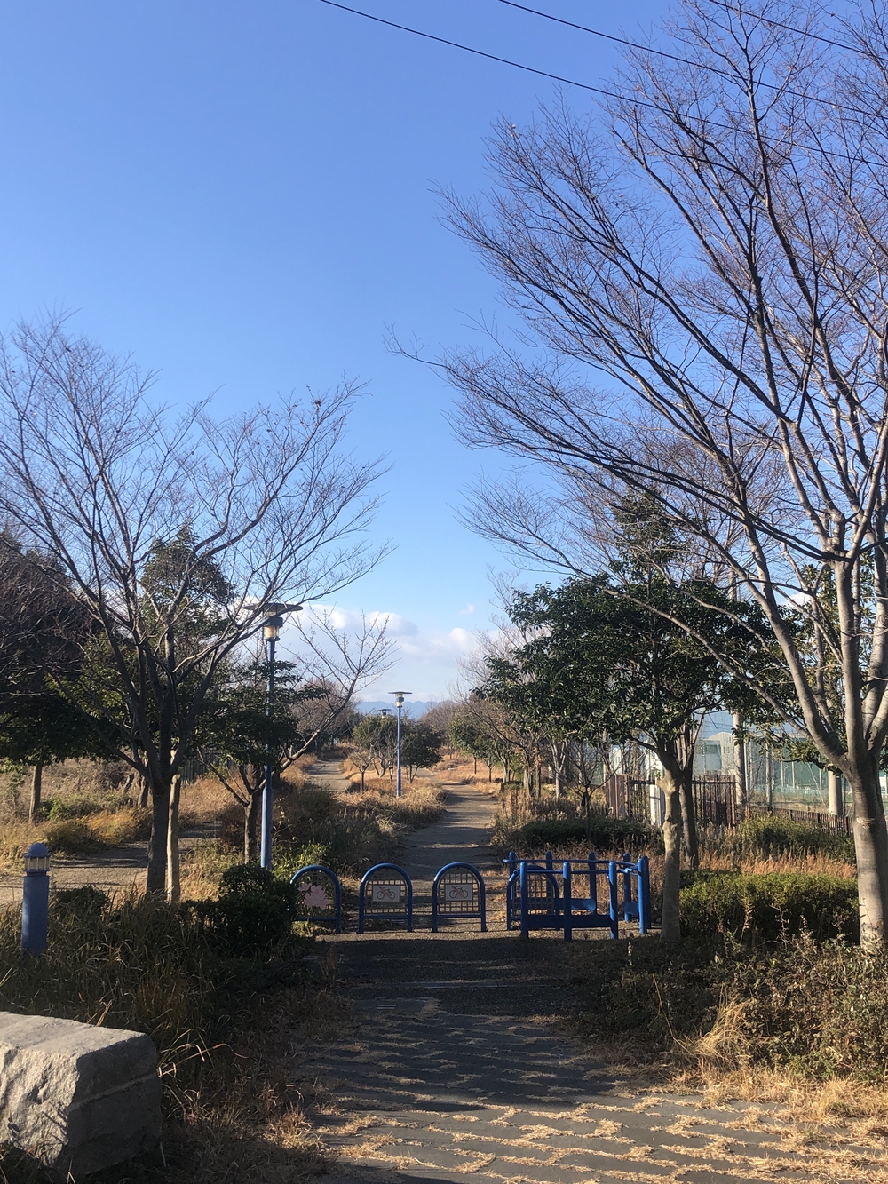 北港ヨットハーバーから舞洲緑道ノンストップ12km！の写真3