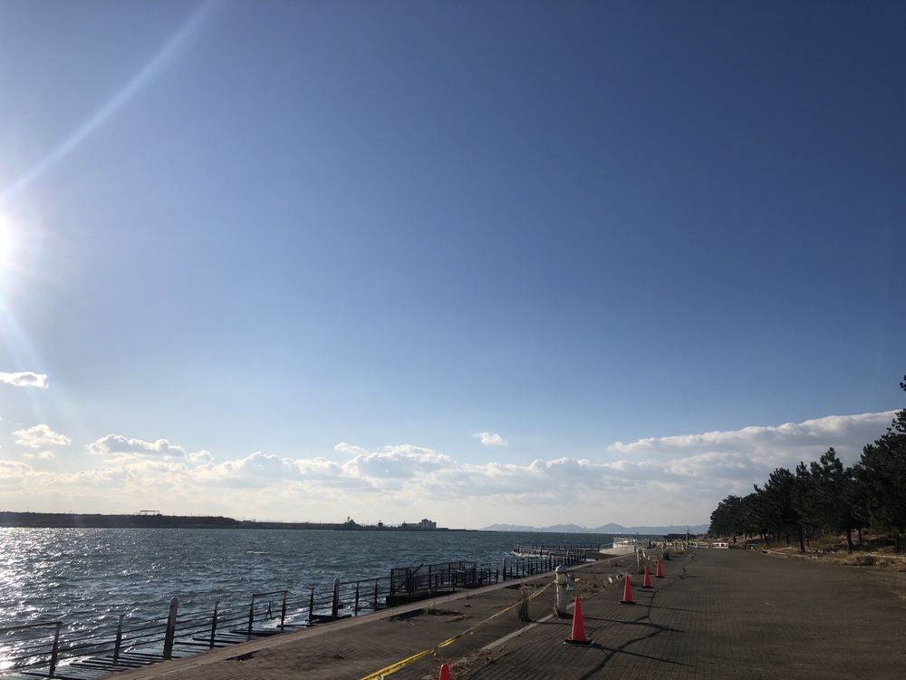 北港ヨットハーバーから舞洲緑道ノンストップ12km！の写真4