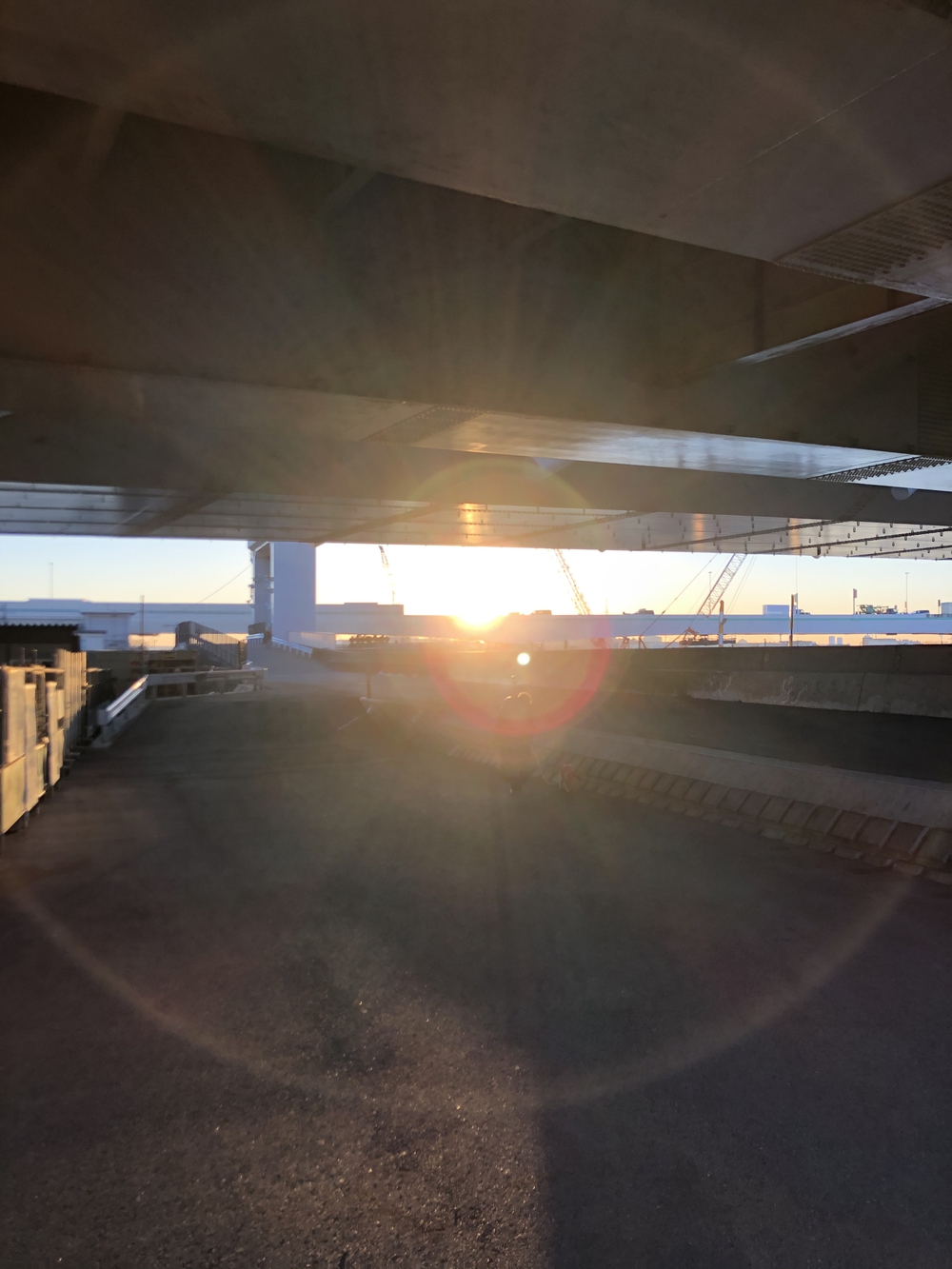 多摩川で富士山の写真3