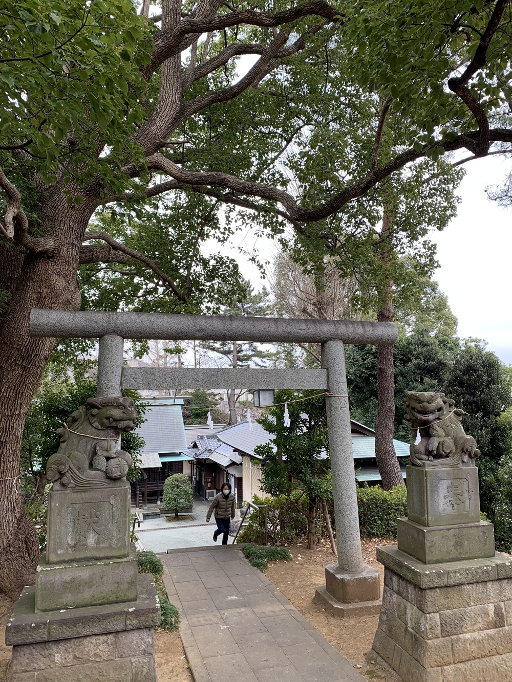 百合ヶ丘２神３寺コースの写真4