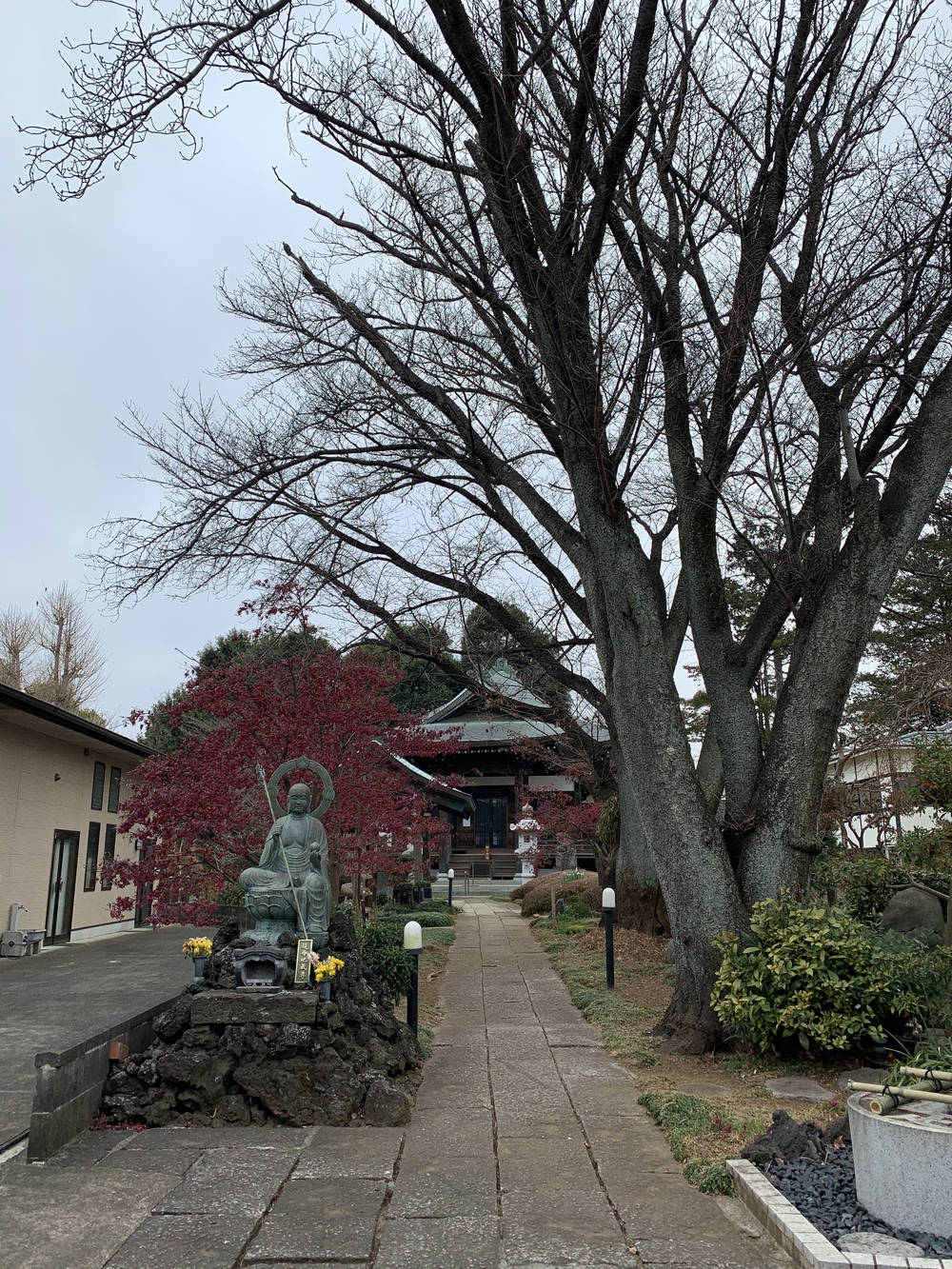 百合ヶ丘２神３寺コースの写真9