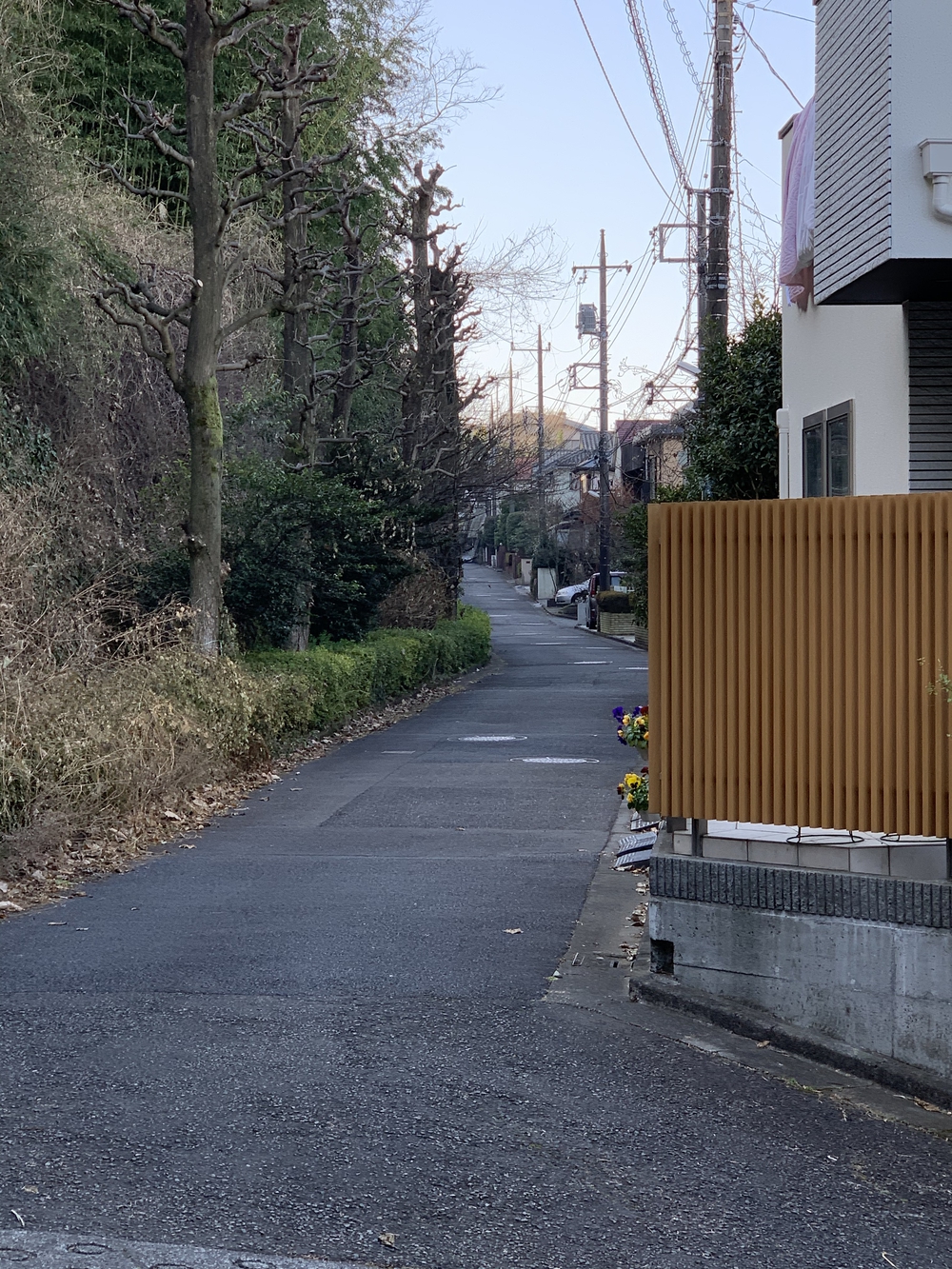 百合ヶ丘・富士4望　ウオーキングコースの写真3