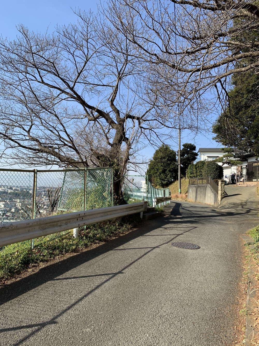 百合ヶ丘・富士4望　ウオーキングコースの写真9