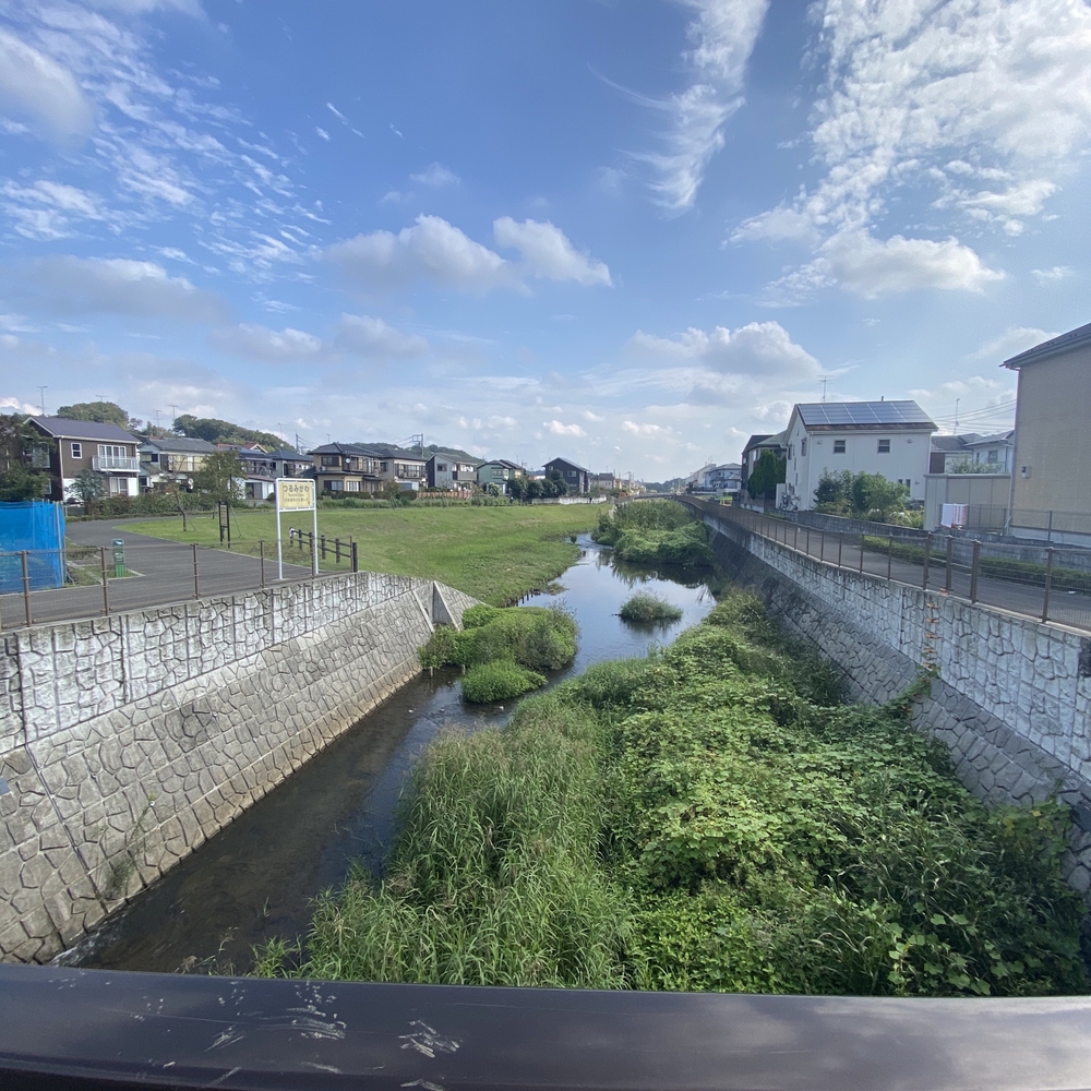 鶴川から鶴見川源流を目指すの写真4