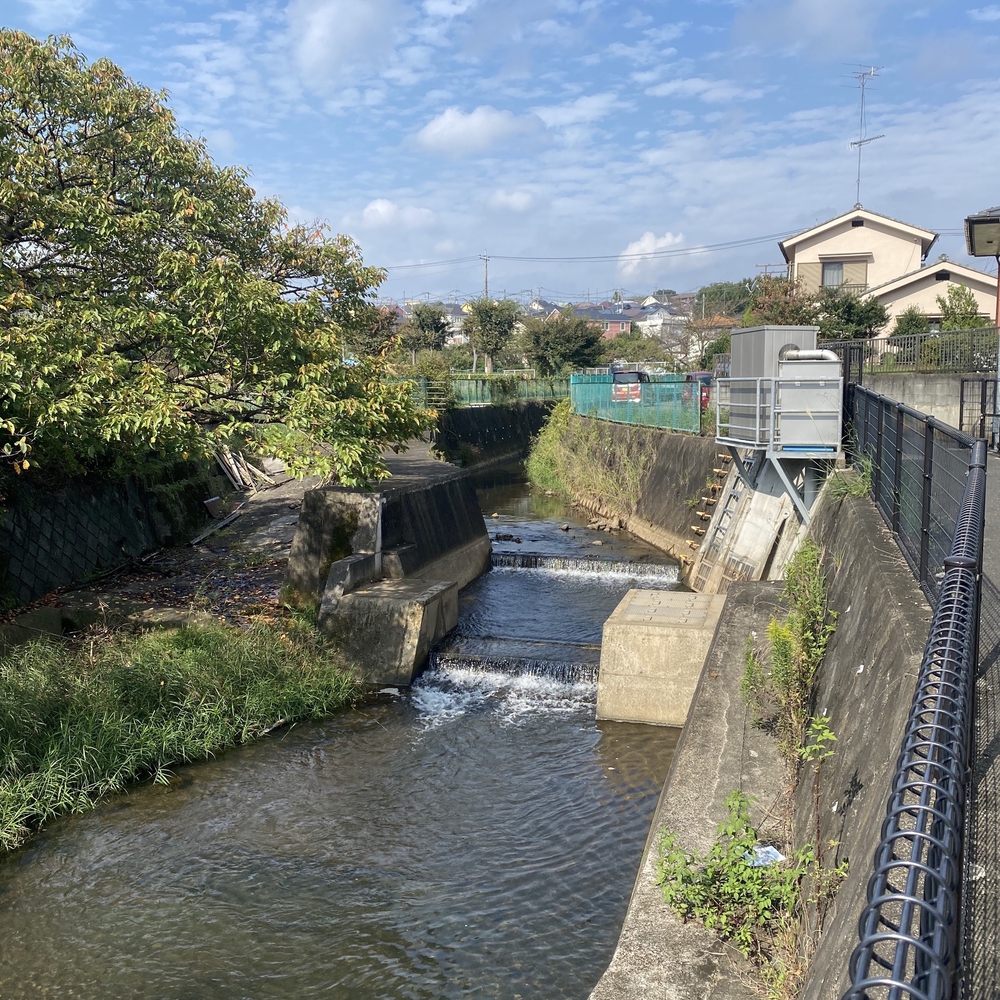 鶴川から鶴見川源流を目指すの写真5