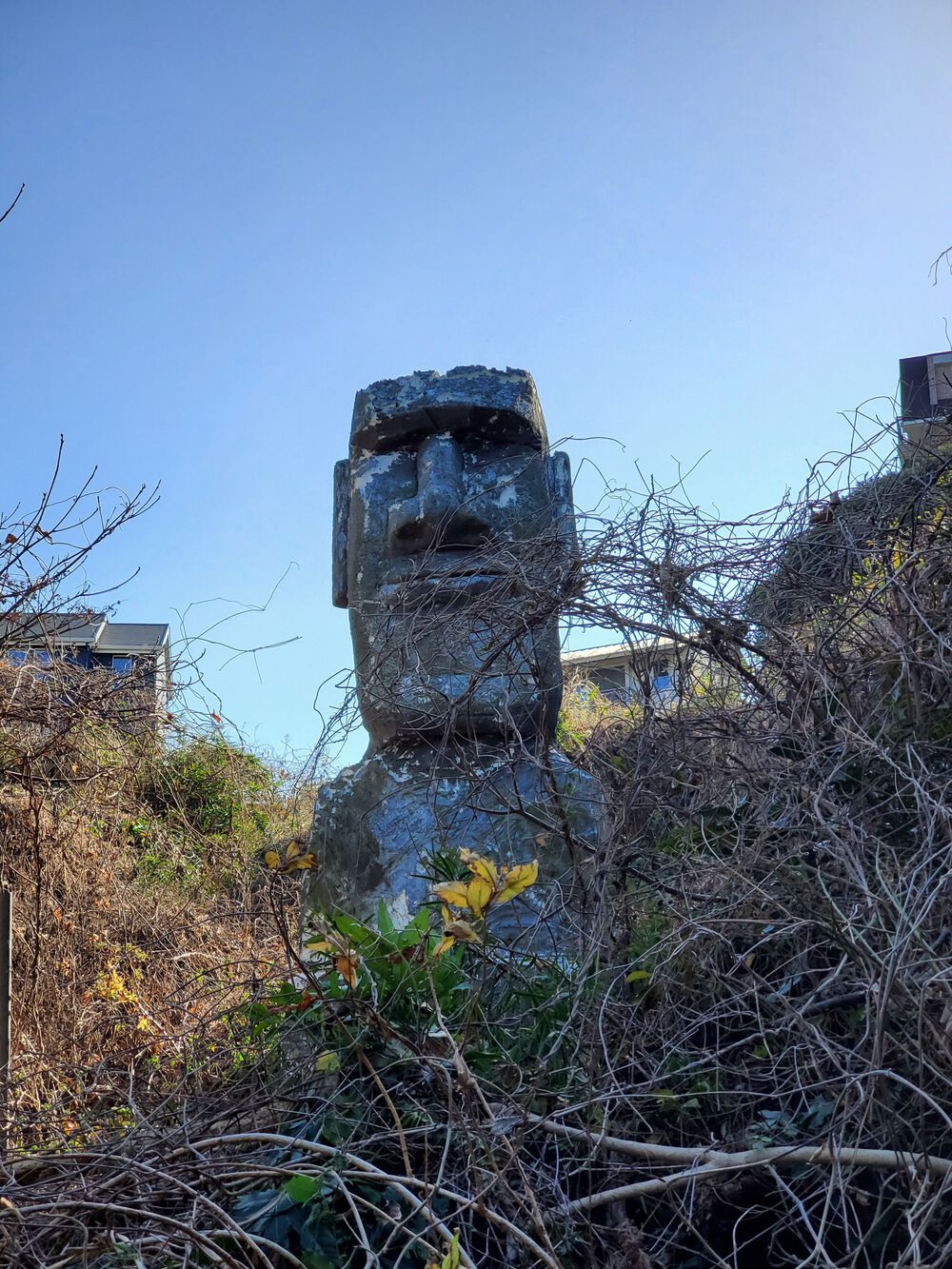 真鶴半島RUN🏃🏃‍♀️💨の写真3