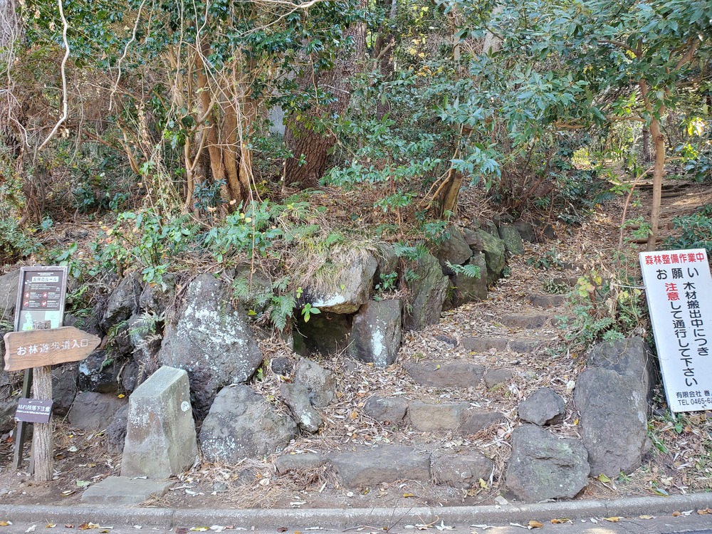 真鶴半島RUN🏃🏃‍♀️💨の写真4