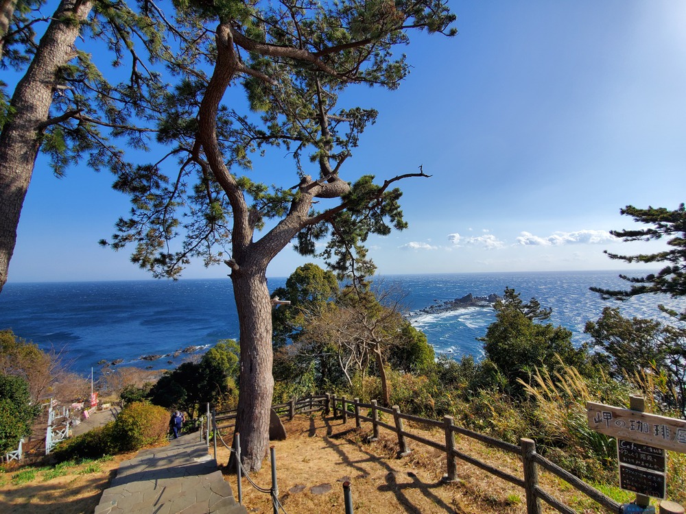 真鶴半島RUN🏃🏃‍♀️💨の写真5